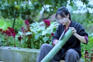从酒吧驻唱到古风博主 李子柒塑商业矩阵