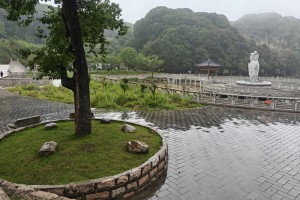 紫竹林观斗悟拳理：五枚师太与蛇鹰双形的诞生