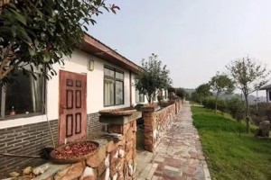 乡村振兴的经营之道：策、谋、规、计