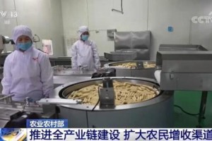 农业农村部将全面推进农业全产业链建设 扩大农民增收渠道