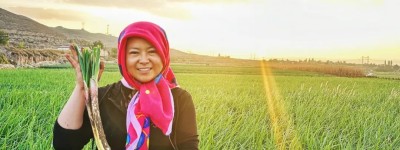 爆卖240万元!这个女娃把靖远红葱卖火了